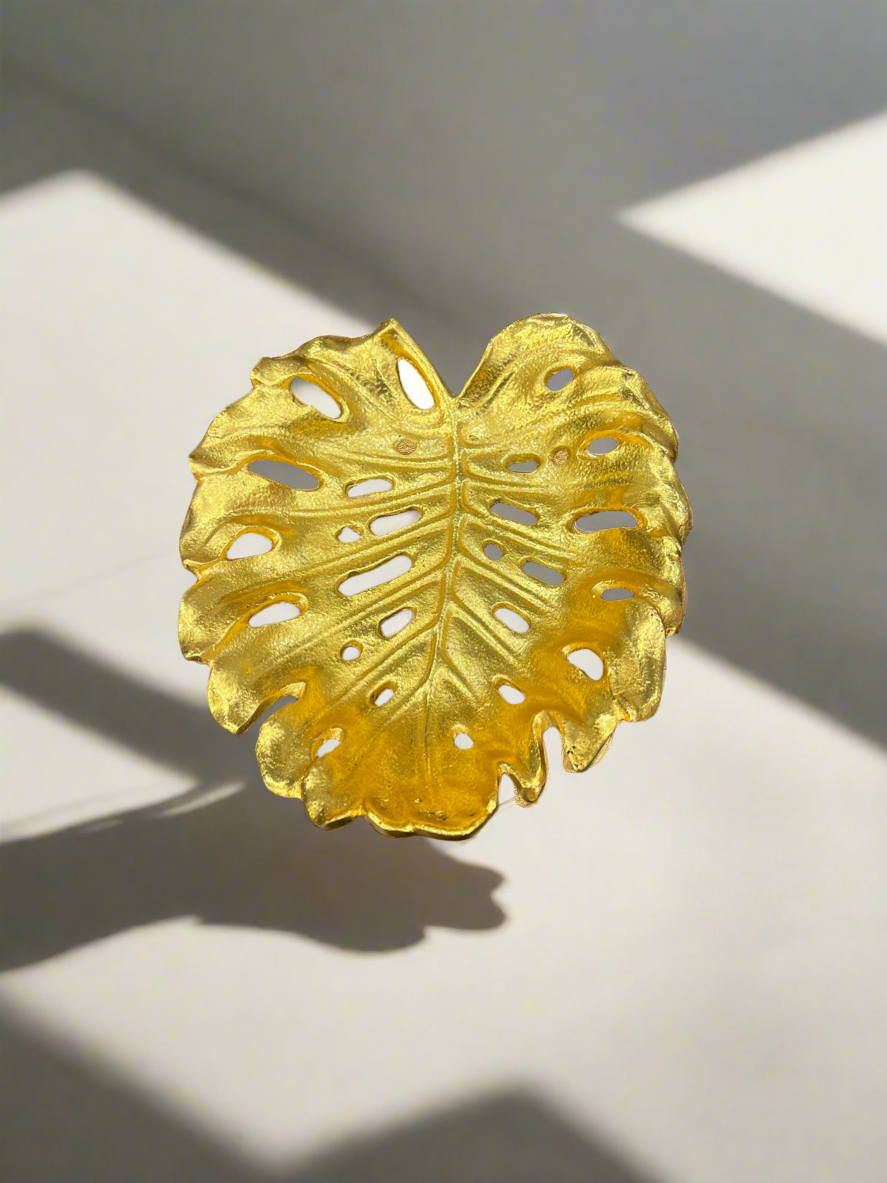 Monstera Leaf