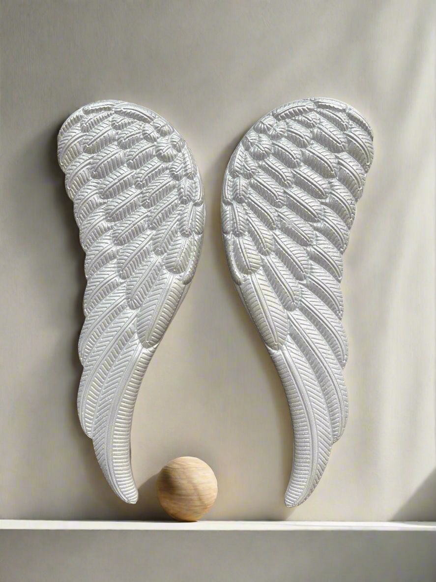 Wall Hanging Wings Pair