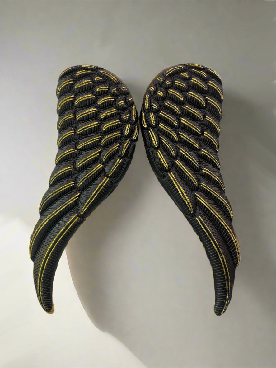 Wall Hanging Wings Pair